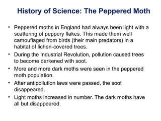 History of Science: The Peppered Moth
• Peppered moths in England had always been light with a
scattering of peppery flakes. This made them well
camouflaged from birds (their main predators) in a
habitat of lichen-covered trees.
• During the Industrial Revolution, pollution caused trees
to become darkened with soot.
• More and more dark moths were seen in the peppered
moth population.
• After antipollution laws were passed, the soot
disappeared.
• Light moths increased in number. The dark moths have
all but disappeared.
 