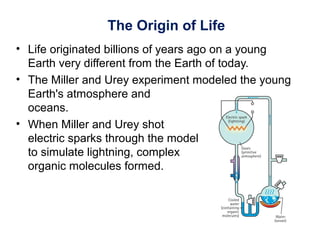 The Origin of Life
• Life originated billions of years ago on a young
Earth very different from the Earth of today.
• The Miller and Urey experiment modeled the young
Earth's atmosphere and
oceans.
• When Miller and Urey shot
electric sparks through the model
to simulate lightning, complex
organic molecules formed.
 