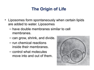 The Origin of Life
• Liposomes form spontaneously when certain lipids
are added to water. Liposomes
– have double membranes similar to cell
membranes.
– can grow, shrink, and divide.
– run chemical reactions
inside their membranes.
– control what molecules
move into and out of them.
 