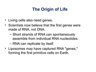 The Origin of Life
• Living cells also need genes.
• Scientists now believe that the first genes were
made of RNA, not DNA.
– Short strands of RNA can spontaneously
assemble from individual RNA nucleotides.
– RNA can replicate by itself.
• Liposomes may have captured RNA "genes,"
forming the first primitive cells on Earth.
 