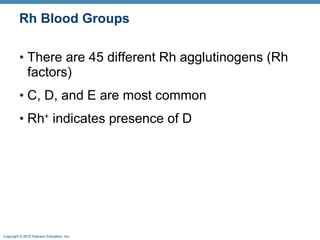 Rh Blood Groups There are 45 different Rh agglutinogens (Rh factors) C, D, and E are most common Rh +  indicates presence of D 