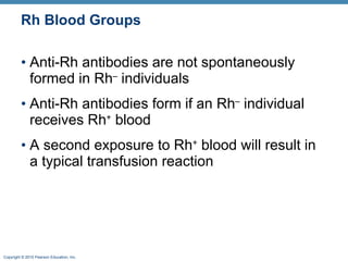 Rh Blood Groups Anti-Rh antibodies are not spontaneously formed in Rh –  individuals Anti-Rh antibodies form if an Rh –  individual receives Rh +  blood  A second exposure to Rh +  blood will result in a typical transfusion reaction 