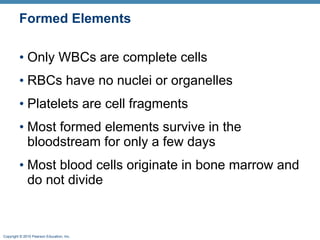 Formed Elements Only WBCs are complete cells RBCs have no nuclei or organelles Platelets are cell fragments Most formed elements survive in the bloodstream for only a few days Most blood cells originate in bone marrow and do not divide  