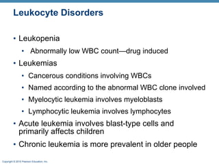 Leukocyte Disorders Leukopenia Abnormally low WBC count—drug induced Leukemias Cancerous conditions involving WBCs Named according to the abnormal WBC clone involved Myelocytic leukemia involves myeloblasts Lymphocytic leukemia involves lymphocytes Acute leukemia involves blast-type cells and primarily affects children Chronic leukemia is more prevalent in older people 
