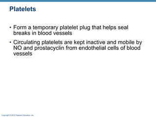 Platelets Form a temporary platelet plug that helps seal breaks in blood vessels Circulating platelets are kept inactive and mobile by NO and prostacyclin from endothelial cells of blood vessels 