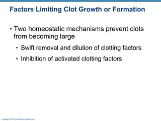 Factors Limiting Clot Growth or Formation Two homeostatic mechanisms prevent clots from becoming large Swift removal and dilution of clotting factors  Inhibition of activated clotting factors 