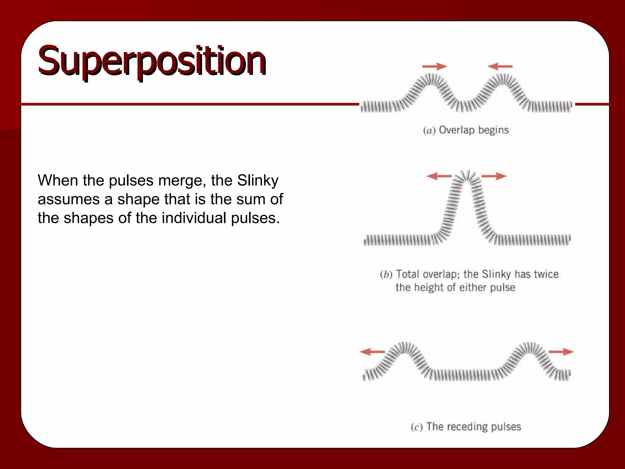 Superposition When the pulses merge, the Slinky assumes a shape that is the sum of the shapes of the individual pulses. 