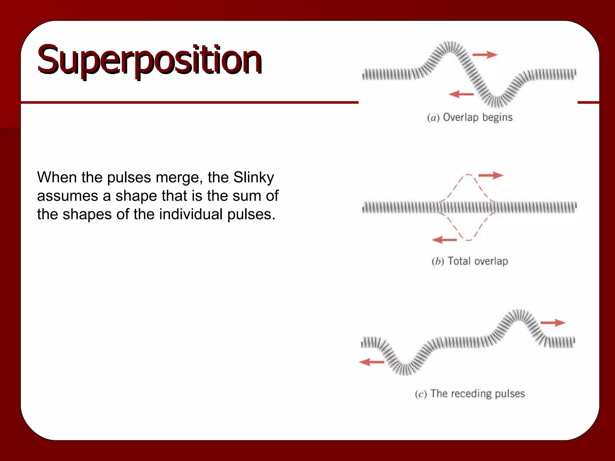 Superposition When the pulses merge, the Slinky assumes a shape that is the sum of the shapes of the individual pulses. 