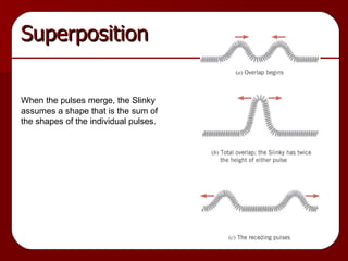 Superposition When the pulses merge, the Slinky assumes a shape that is the sum of the shapes of the individual pulses. 