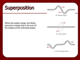 Superposition When the pulses merge, the Slinky assumes a shape that is the sum of the shapes of the individual pulses. 
