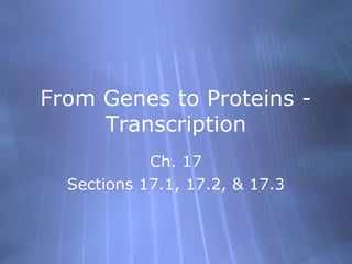 From Genes to Proteins Transcription
Ch. 17
Sections 17.1, 17.2, & 17.3

 