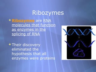 Ribozymes
Ribozymes are RNA
molecules that function
as enzymes in the
splicing of RNA
Their discovery
eliminated the
hypothesis that all
enzymes were proteins

 