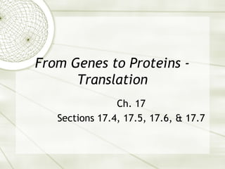 From Genes to Proteins Translation
Ch. 17
Sections 17.4, 17.5, 17.6, & 17.7

 
