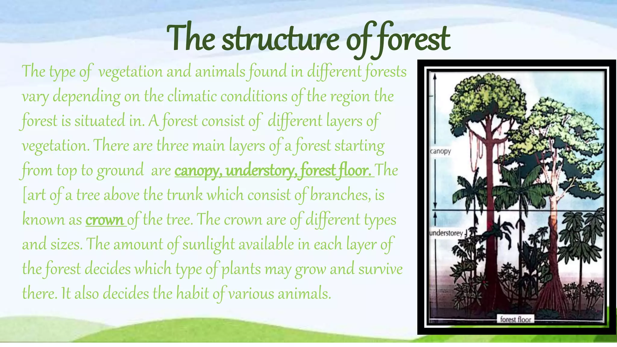 ch 17 ppt class7.pptx