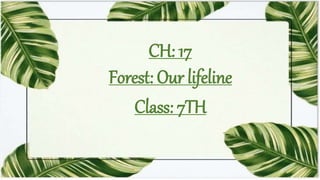 CH: 17
Forest: Our lifeline
Class: 7TH
 