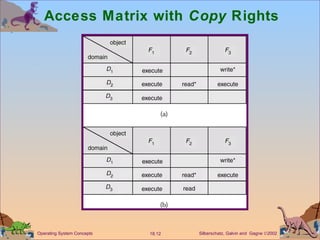 Access Matrix with  Copy  Rights 