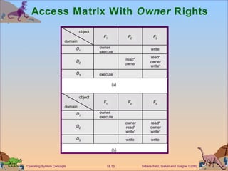 Access Matrix With  Owner  Rights 