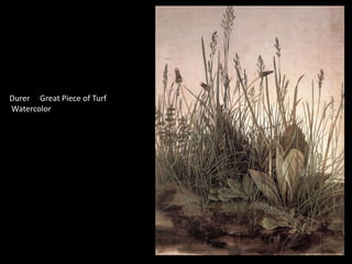 Durer Great Piece of Turf
Watercolor
 