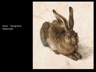 Durer Young Hare
Watercolor
 