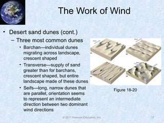 The Work of Wind
• Desert sand dunes (cont.)
– Three most common dunes
• Barchan—individual dunes
migrating across landscape,
crescent shaped
• Transverse—supply of sand
greater than for barchans,
crescent shaped, but entire
landscape made of these dunes
• Seifs—long, narrow dunes that
are parallel, orientation seems
to represent an intermediate
direction between two dominant
wind directions
17© 2011 Pearson Education, Inc.
Figure 18-20
 