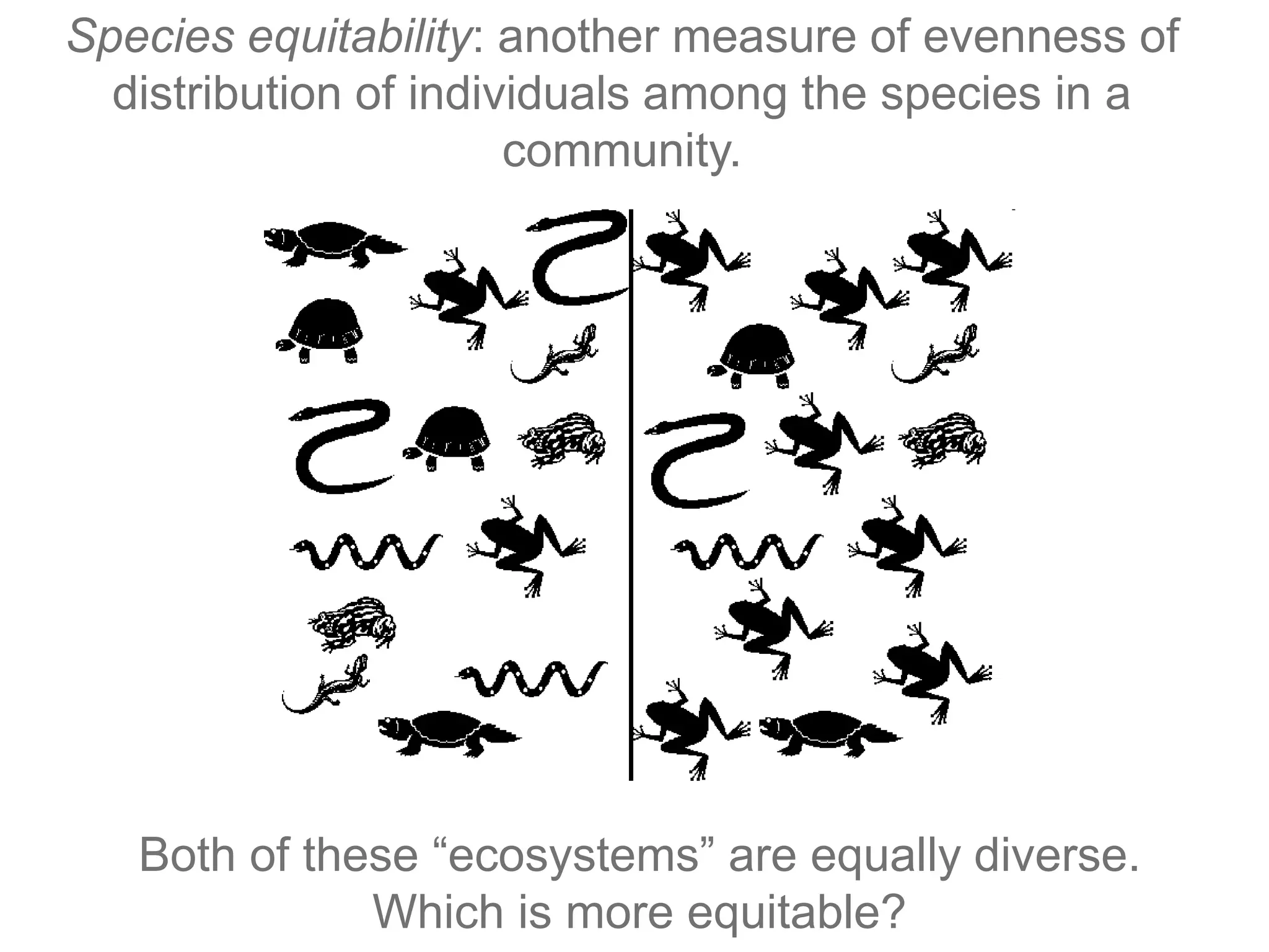 Species equitability: another measure of evenness of
distribution of individuals among the species in a
community.
Both of these “ecosystems” are equally diverse.
Which is more equitable?
 