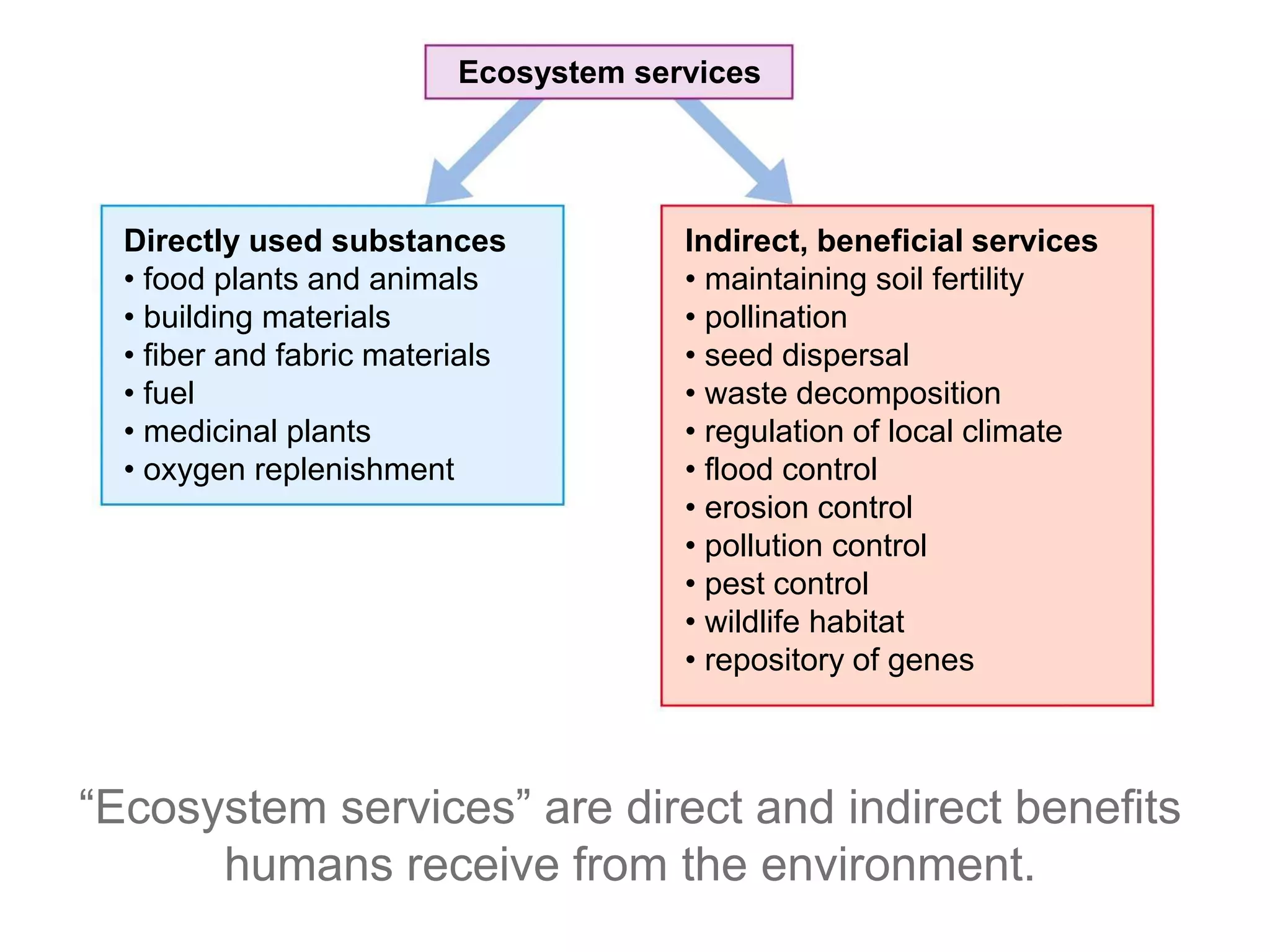 Ecosystem services
Indirect, beneficial services
• maintaining soil fertility
• pollination
• seed dispersal
• waste decomposition
• regulation of local climate
• flood control
• erosion control
• pollution control
• pest control
• wildlife habitat
• repository of genes
Directly used substances
• food plants and animals
• building materials
• fiber and fabric materials
• fuel
• medicinal plants
• oxygen replenishment
“Ecosystem services” are direct and indirect benefits
humans receive from the environment.
 