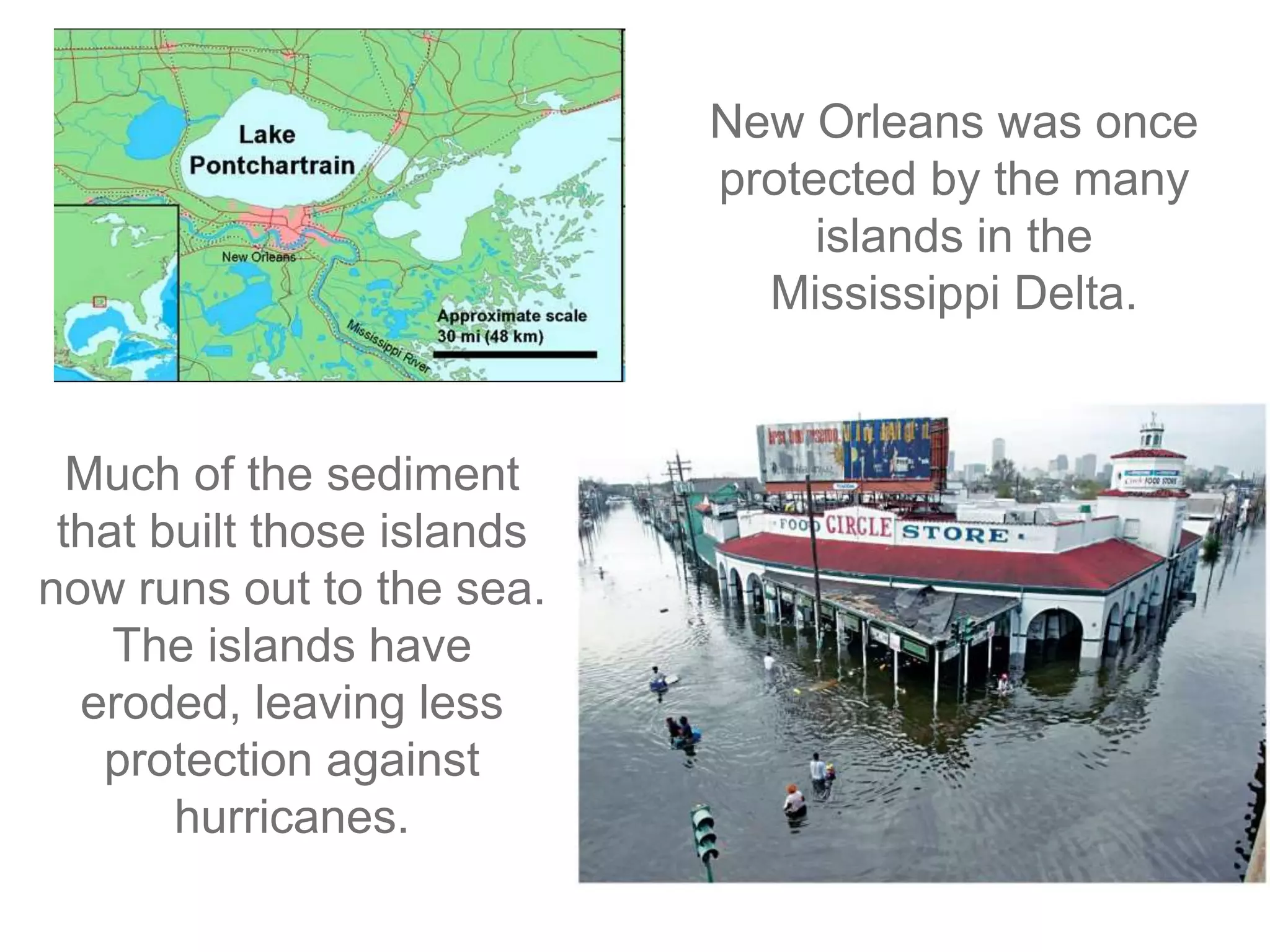 New Orleans was once
protected by the many
islands in the
Mississippi Delta.
Much of the sediment
that built those islands
now runs out to the sea.
The islands have
eroded, leaving less
protection against
hurricanes.
 