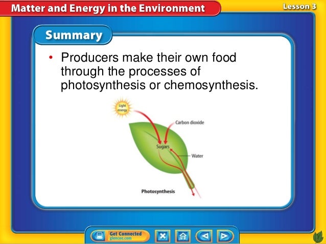Do Organisms Make Their Own Food In Chemosynthesis Do Organisms Make Their Own Food In Chemosynthesis
