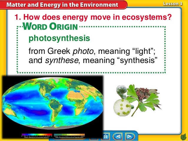 Do Organisms Make Their Own Food In Chemosynthesis Do Organisms Make Their Own Food In Chemosynthesis