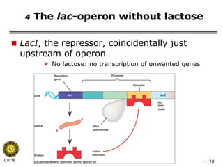 4  The  lac -operon without lactose LacI , the repressor, coincidentally just upstream of operon No lactose: no transcription of unwanted genes 