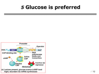 5  Glucose is preferred 