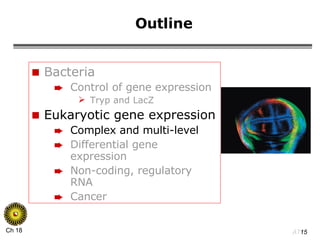 Outline Bacteria Control of gene expression Tryp and LacZ Eukaryotic gene expression Complex and multi-level Differential gene expression Non-coding, regulatory RNA Cancer 