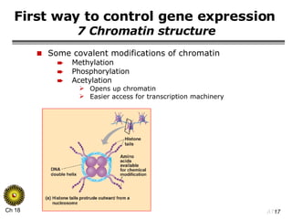 First way to control gene expression   7 Chromatin structure Some covalent modifications of chromatin Methylation Phosphorylation Acetylation Opens up chromatin Easier access for transcription machinery 