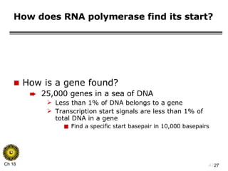How does RNA polymerase find its start? How is a gene found? 25,000 genes in a sea of DNA Less than 1% of DNA belongs to a gene Transcription start signals are less than 1% of total DNA in a gene Find a specific start basepair in 10,000 basepairs 