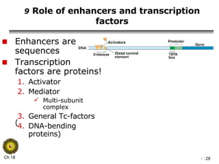 9  Role of enhancers and transcription factors Enhancers are DNA sequences Transcription  factors are proteins! Activator Mediator Multi-subunit complex General Tc-factors DNA-bending proteins) ( 