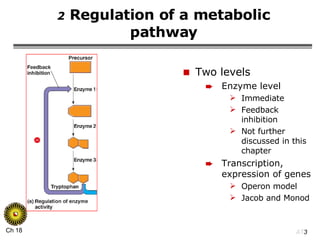 2  Regulation of a metabolic pathway Two levels Enzyme level Immediate Feedback inhibition Not further discussed in this chapter Transcription, expression of genes Operon model Jacob and Monod 