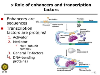 9  Role of enhancers and transcription factors Enhancers are DNA sequences Transcription  factors are proteins! Activator Mediator Multi-subunit complex General Tc-factors DNA-bending proteins) ( 