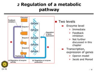 2  Regulation of a metabolic pathway Two levels Enzyme level Immediate Feedback inhibition Not further discussed in this chapter Transcription, expression of genes Operon model Jacob and Monod 