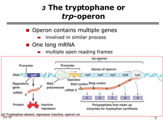 3  The tryptophane or trp -operon Operon contains multiple genes involved in similar process One long mRNA multiple open reading frames 