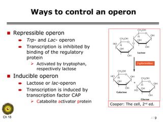 Ways to control an operon Repressible operon Trp - and  Lac - operon Transcription is inhibited by binding of the regulatory protein Activated by tryptophan, respectively lactose Inducible operon Lactose or  lac -operon Transcription is induced by transcription factor CAP C atabolite  a ctivator  p rotein Cooper: The cell, 2 nd  ed. 