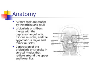 Ch 185 - Cosmetic Uses of Botox and Injectable Fillers.ppt