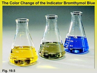 The Color Change of the Indicator Bromthymol Blue




Fig. 19.5
 