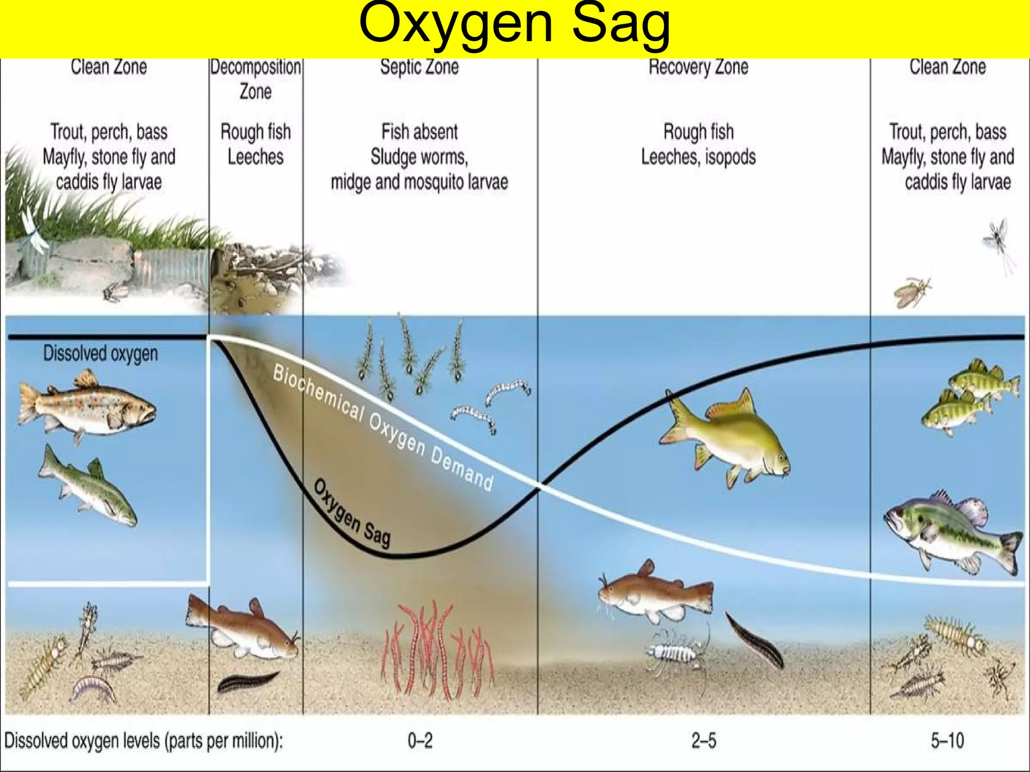 Oxygen Sag 