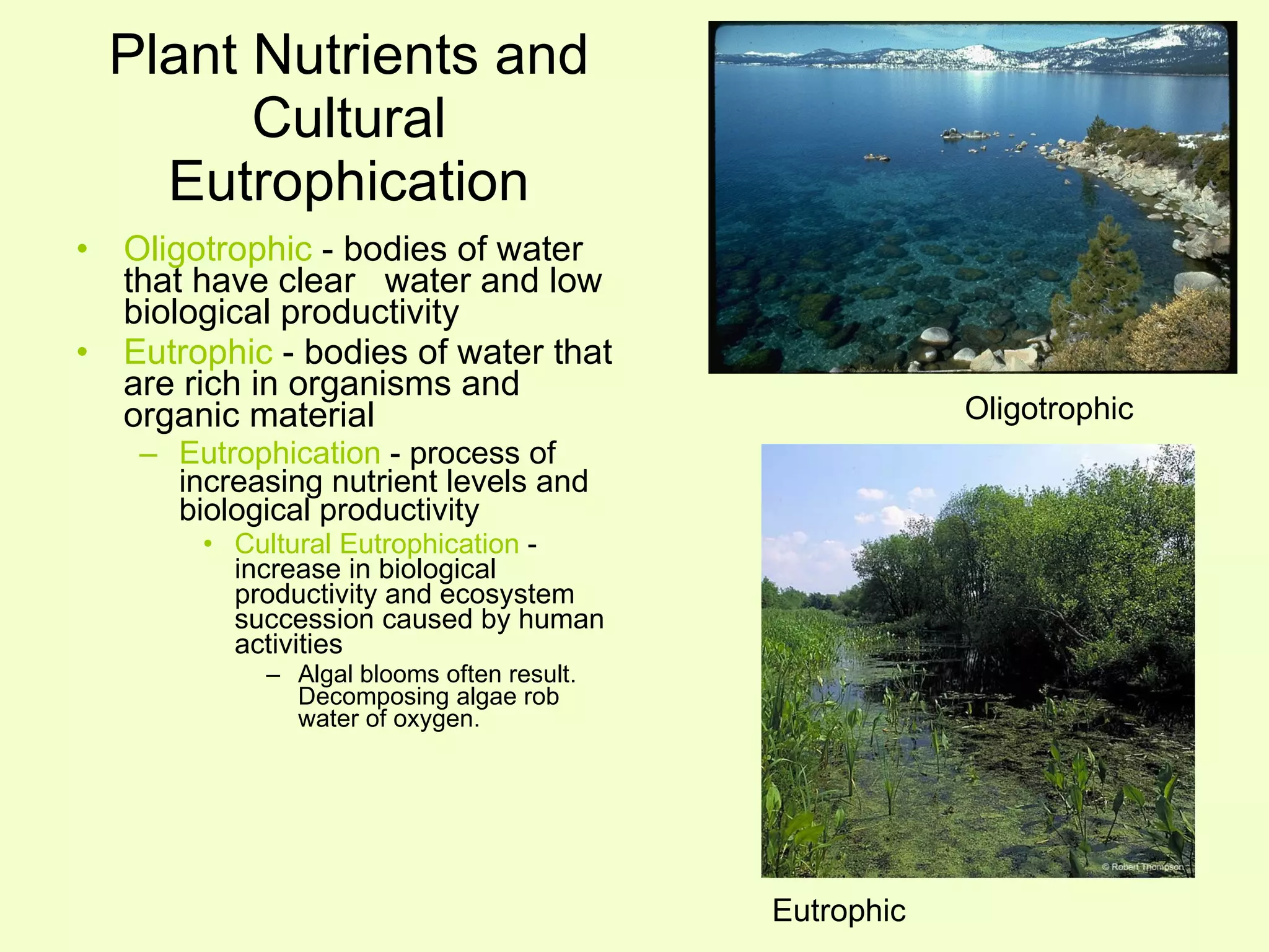 Plant Nutrients and Cultural Eutrophication Oligotrophic  - bodies of water that have clear  water and low biological productivity Eutrophic  - bodies of water that are rich in organisms and organic material Eutrophication  - process of increasing nutrient levels and biological productivity Cultural Eutrophication  - increase in biological productivity and ecosystem succession caused by human activities Algal blooms often result.  Decomposing algae rob water of oxygen. Oligotrophic Eutrophic 