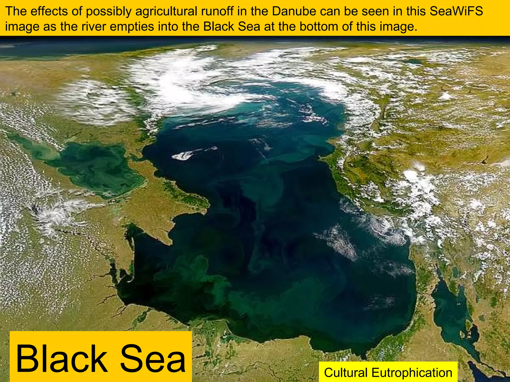 The effects of possibly agricultural runoff in the Danube can be seen in this SeaWiFS image as the river empties into the Black Sea at the bottom of this image.  Black Sea Cultural Eutrophication 