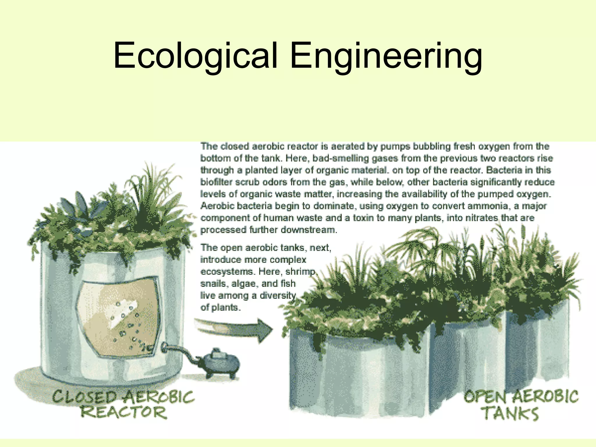 Ecological Engineering 
