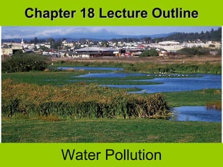 Chapter 18 Lecture Outline Water Pollution 