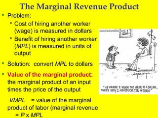 The Marginal Revenue Product
 Problem:
 Cost of hiring another worker
(wage) is measured in dollars
 Benefit of hiring another worker
(MPL) is measured in units of
output
 Solution: convert MPL to dollars
 Value of the marginal product:
the marginal product of an input
times the price of the output
VMPL = value of the marginal
product of labor (marginal revenue
= P x MPL

 