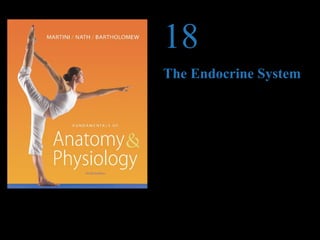 18
                                 The Endocrine System




                                 PowerPoint® Lecture Presentations prepared by
                                 Jason LaPres
                                 Lone Star College—North Harris




© 2012 Pearson Education, Inc.
 