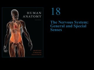 © 2012 Pearson Education, Inc. 
18 
The Nervous System: 
General and Special 
Senses 
PowerPoint® Lecture Presentations prepared by 
Steven Bassett 
Southeast Community College 
Lincoln, Nebraska 
 